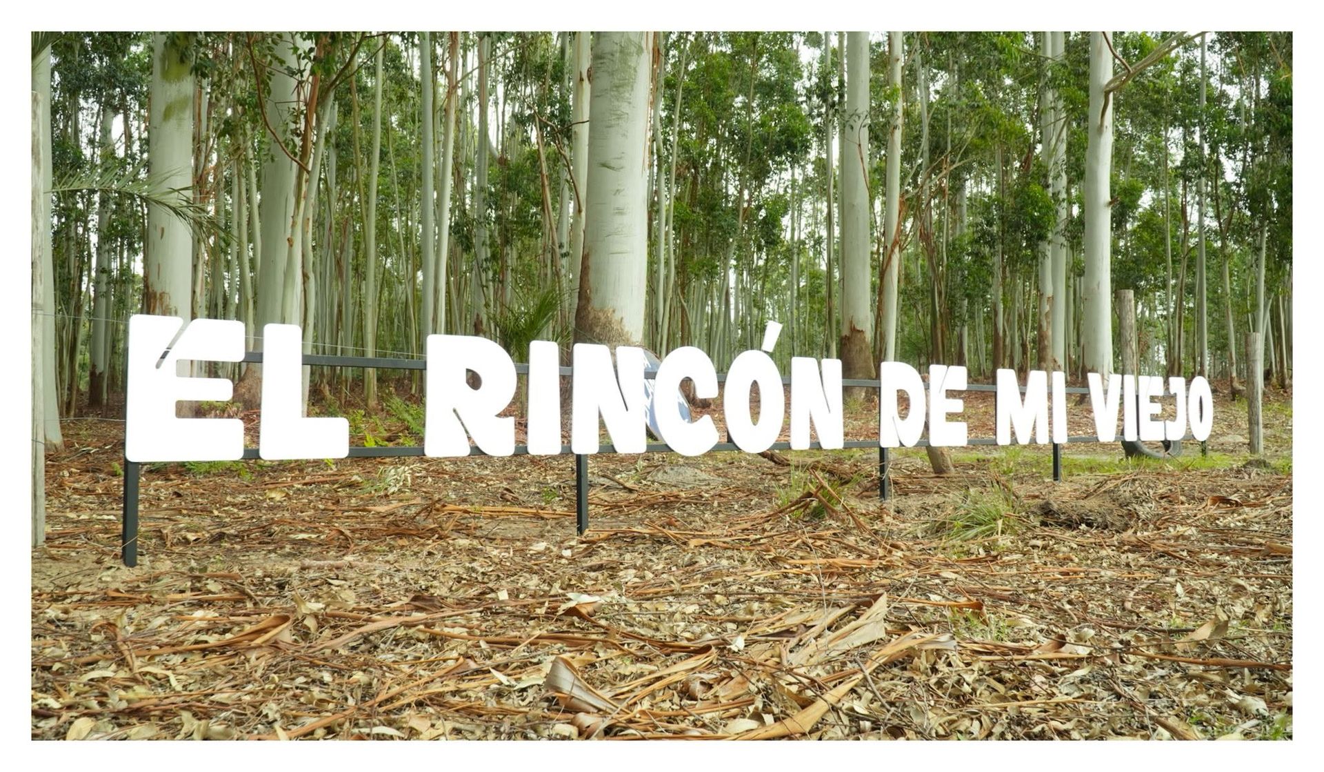 Pinecoop Chuy - Las Obras siguen avanzando