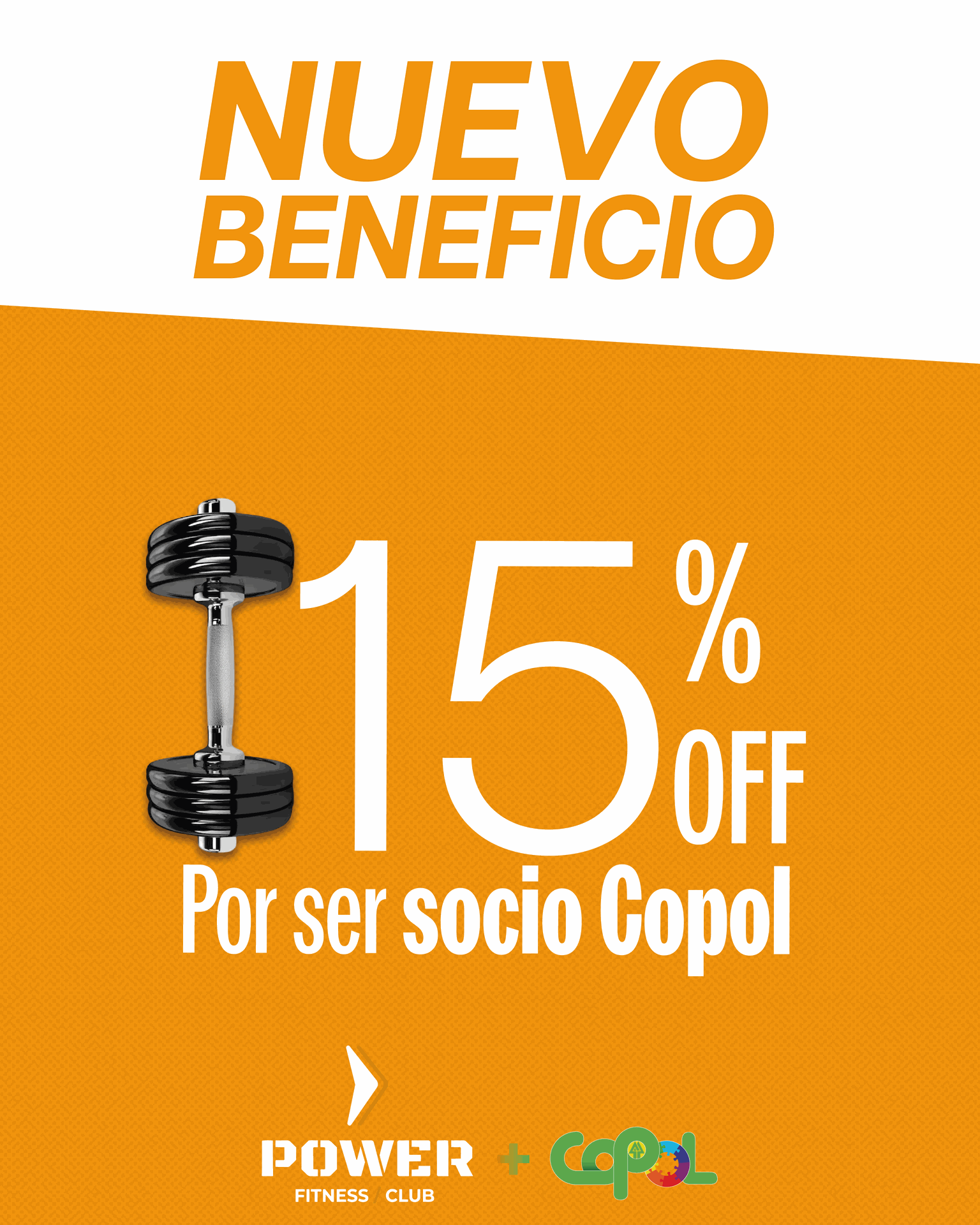 Powercamp gimnasio 2