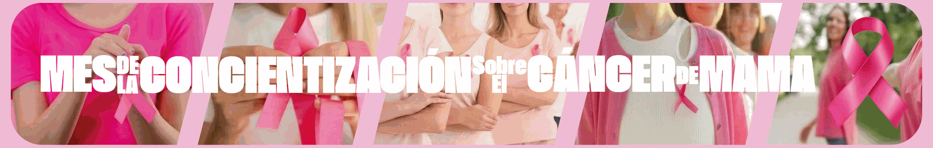 Oferta COPOL 2